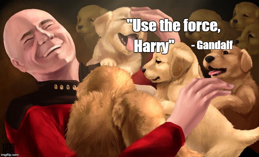 "Use the force, Harry" - Gandalf | image tagged in nerd | made w/ Imgflip meme maker