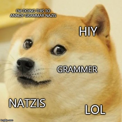 Doge | I'M DOING THIS TO ANNOY GRAMMAR NAZIS HIY GRAMMER NATZIS LOL | image tagged in memes,doge | made w/ Imgflip meme maker