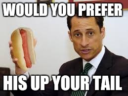 WOULD YOU PREFER HIS UP YOUR TAIL | made w/ Imgflip meme maker