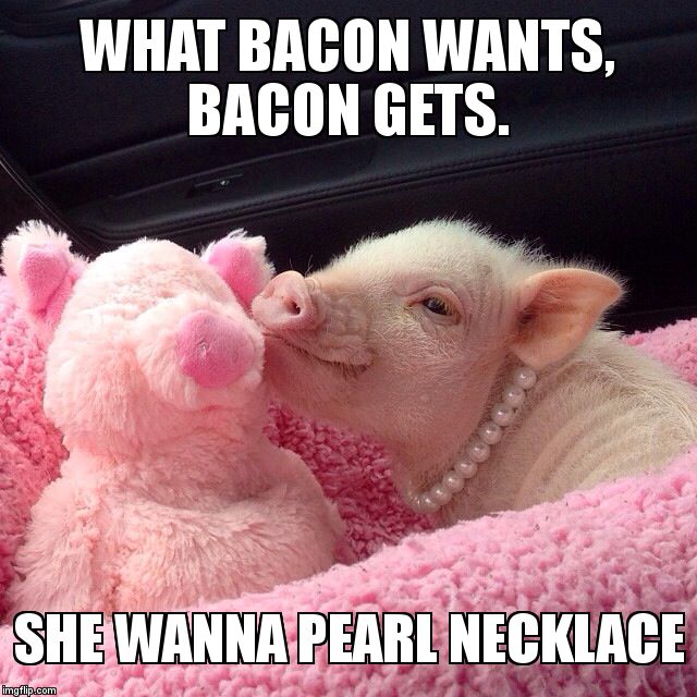 Nobody Puts Bacon In The Corner | WHAT BACON WANTS, BACON GETS. SHE WANNA PEARL NECKLACE | image tagged in bacon meme,sarcastic pearl | made w/ Imgflip meme maker
