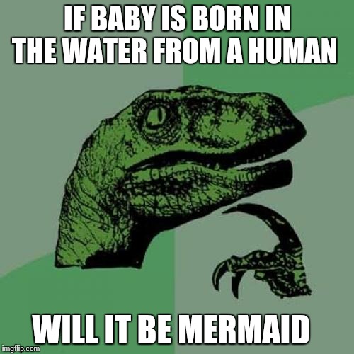 Philosoraptor Meme | IF BABY IS BORN IN THE WATER FROM A HUMAN WILL IT BE MERMAID | image tagged in memes,philosoraptor | made w/ Imgflip meme maker