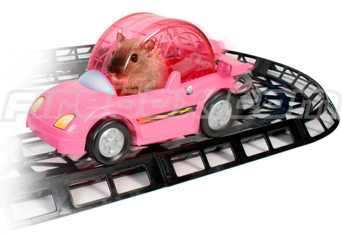 High Quality hamster car Blank Meme Template