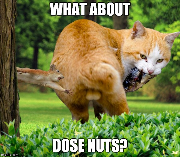 WHAT ABOUT DOSE NUTS? | made w/ Imgflip meme maker