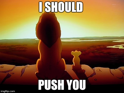 Lion King | I SHOULD PUSH YOU | image tagged in memes,lion king | made w/ Imgflip meme maker
