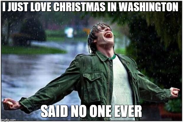 Extreme Rain Happiness | I JUST LOVE CHRISTMAS IN WASHINGTON SAID NO ONE EVER | image tagged in extreme rain happiness | made w/ Imgflip meme maker