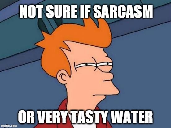 Futurama Fry Meme | NOT SURE IF SARCASM OR VERY TASTY WATER | image tagged in memes,futurama fry | made w/ Imgflip meme maker