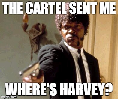 Say That Again I Dare You | THE CARTEL SENT ME WHERE'S HARVEY? | image tagged in memes,say that again i dare you | made w/ Imgflip meme maker