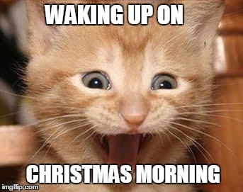 Excited Cat Meme | WAKING UP ON CHRISTMAS MORNING | image tagged in memes,excited cat | made w/ Imgflip meme maker