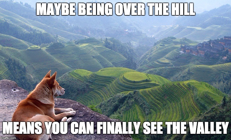 MAYBE BEING OVER THE HILL MEANS YOU CAN FINALLY SEE THE VALLEY | image tagged in old age,wisdom,one does not simply | made w/ Imgflip meme maker