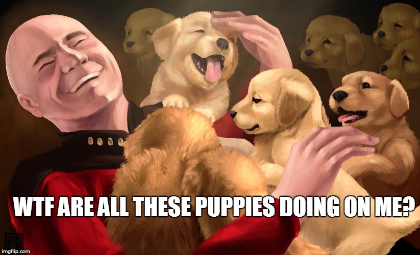 WTF ARE ALL THESE PUPPIES DOING ON ME? | image tagged in star trek | made w/ Imgflip meme maker