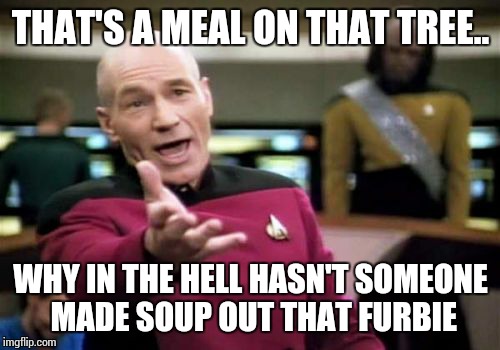 Picard Wtf Meme | THAT'S A MEAL ON THAT TREE.. WHY IN THE HELL HASN'T SOMEONE MADE SOUP OUT THAT FURBIE | image tagged in memes,picard wtf | made w/ Imgflip meme maker