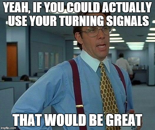 From me to other drivers | YEAH, IF YOU COULD ACTUALLY USE YOUR TURNING SIGNALS THAT WOULD BE GREAT | image tagged in memes,that would be great | made w/ Imgflip meme maker