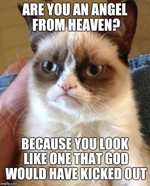 Grumpy Cat Meme | ARE YOU AN ANGEL FROM HEAVEN? BECAUSE YOU LOOK LIKE ONE THAT GOD WOULD HAVE KICKED OUT | image tagged in memes,grumpy cat | made w/ Imgflip meme maker