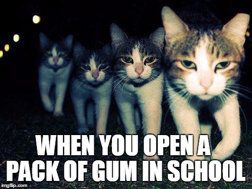 Wrong Neighboorhood Cats | WHEN YOU OPEN A PACK OF GUM IN SCHOOL | image tagged in memes,wrong neighboorhood cats | made w/ Imgflip meme maker