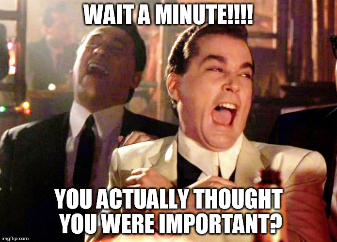 Good Fellas Hilarious | WAIT A MINUTE!!!! YOU ACTUALLY THOUGHT YOU WERE IMPORTANT? | image tagged in memes,good fellas hilarious | made w/ Imgflip meme maker