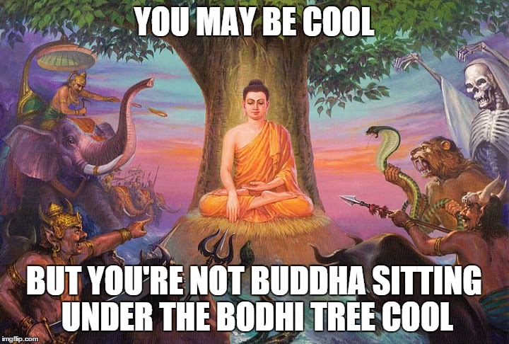 Cool Buddha | YOU MAY BE COOL BUT YOU'RE NOT BUDDHA SITTING UNDER THE BODHI TREE COOL | image tagged in buddha,cool,meditation,enlightenment,buddhism | made w/ Imgflip meme maker