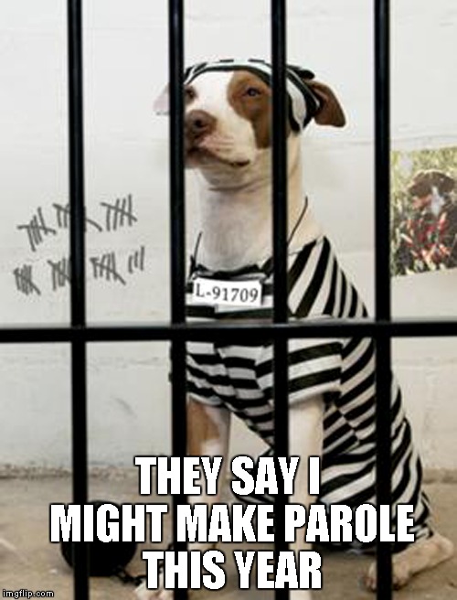 THEY SAY I MIGHT MAKE PAROLE THIS YEAR | made w/ Imgflip meme maker