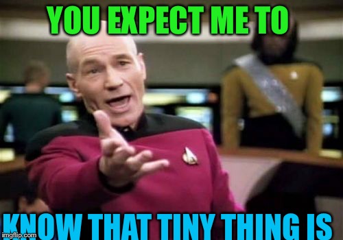 Picard Wtf | YOU EXPECT ME TO KNOW THAT TINY THING IS | image tagged in memes,picard wtf | made w/ Imgflip meme maker