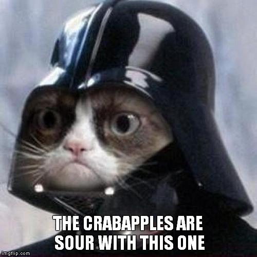 Darth Crabber | THE CRABAPPLES ARE SOUR WITH THIS ONE | image tagged in grumpy vader,grumpy cat,memes,funny memes,crabby,crabapples | made w/ Imgflip meme maker