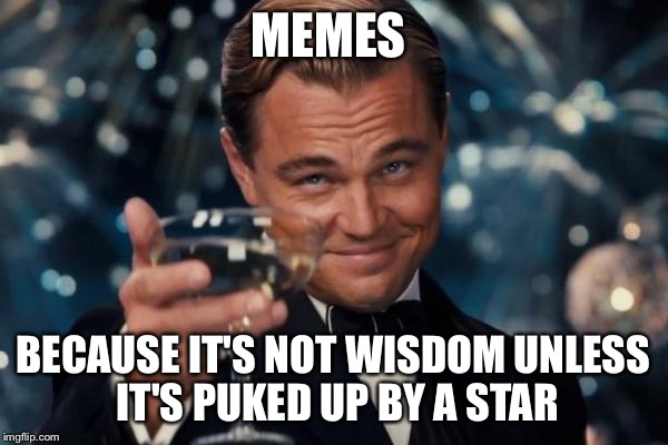 Leonardo Dicaprio Cheers Meme | MEMES BECAUSE IT'S NOT WISDOM UNLESS IT'S PUKED UP BY A STAR | image tagged in memes,leonardo dicaprio cheers | made w/ Imgflip meme maker