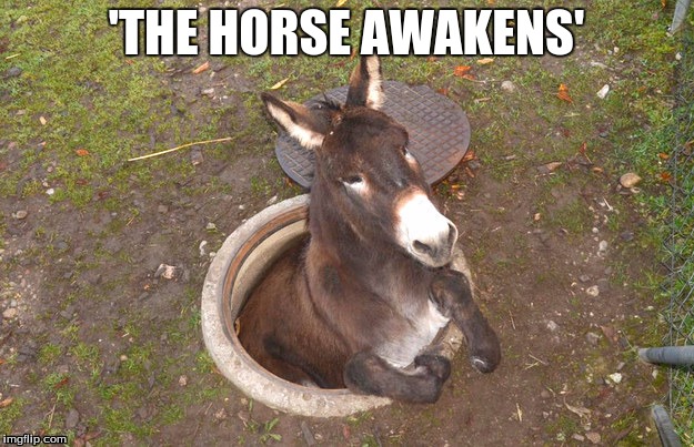 back to my hole horse | 'THE HORSE AWAKENS' | image tagged in back to my hole horse,star wars,the force awakens,bad puns | made w/ Imgflip meme maker