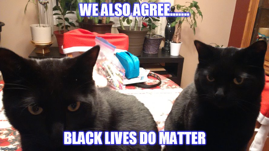 WE MATTER TOO | WE ALSO AGREE....... BLACK LIVES DO MATTER | image tagged in black lives matter | made w/ Imgflip meme maker
