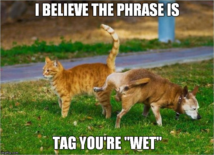 I BELIEVE THE PHRASE IS TAG YOU'RE "WET" | made w/ Imgflip meme maker