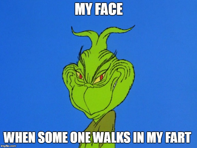 Grinch smile   | MY FACE WHEN SOME ONE WALKS IN MY FART | image tagged in grinch,smile | made w/ Imgflip meme maker