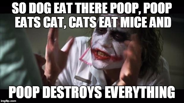 joker explains what eats what | SO DOG EAT THERE POOP, POOP EATS CAT, CATS EAT MICE AND POOP DESTROYS EVERYTHING | image tagged in memes,and everybody loses their minds,confusion | made w/ Imgflip meme maker