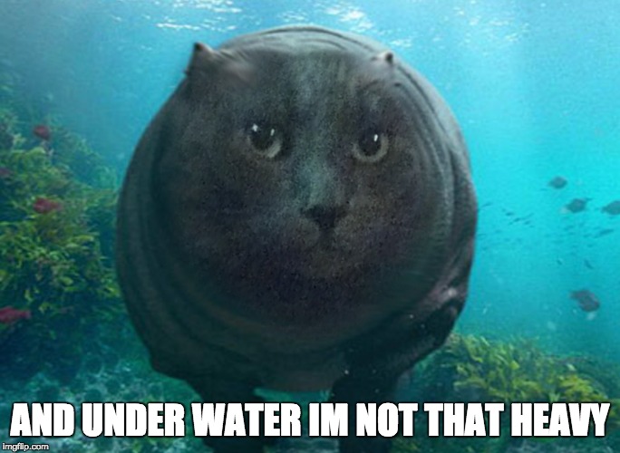 AND UNDER WATER IM NOT THAT HEAVY | made w/ Imgflip meme maker
