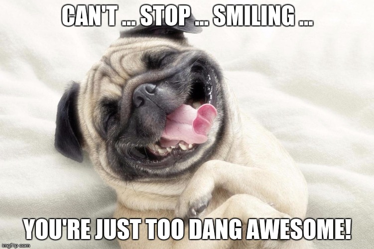 CAN'T ... STOP ... SMILING ... YOU'RE JUST TOO DANG AWESOME! | image tagged in cute dog,humor,comedy | made w/ Imgflip meme maker