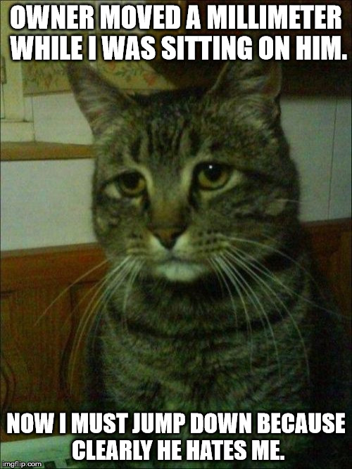 I can't hold my breath very long, and I do have to cough occasionally. | OWNER MOVED A MILLIMETER WHILE I WAS SITTING ON HIM. NOW I MUST JUMP DOWN BECAUSE CLEARLY HE HATES ME. | image tagged in memes,depressed cat | made w/ Imgflip meme maker