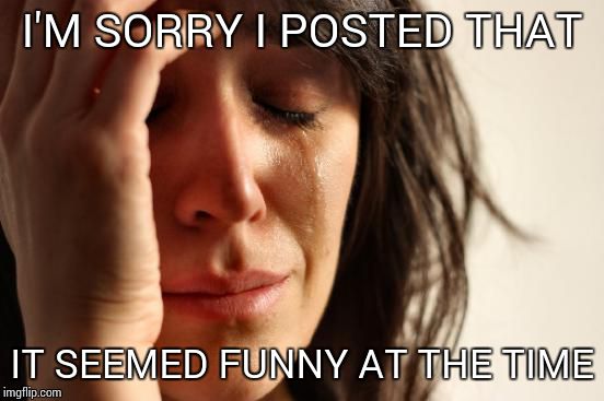 First World Problems | I'M SORRY I POSTED THAT IT SEEMED FUNNY AT THE TIME | image tagged in memes,first world problems | made w/ Imgflip meme maker