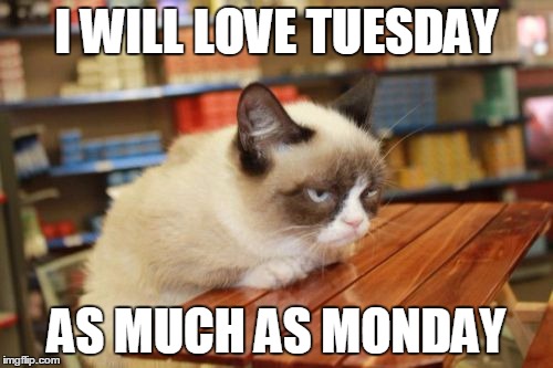 Grumpy Cat Table | I WILL LOVE TUESDAY AS MUCH AS MONDAY | image tagged in memes,grumpy cat table | made w/ Imgflip meme maker