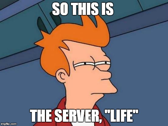 Futurama Fry | SO THIS IS THE SERVER, ''LIFE'' | image tagged in memes,futurama fry | made w/ Imgflip meme maker