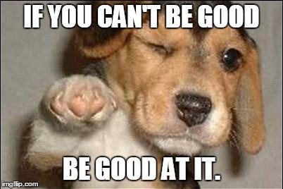 good job dog | IF YOU CAN'T BE GOOD BE GOOD AT IT. | image tagged in good job dog | made w/ Imgflip meme maker