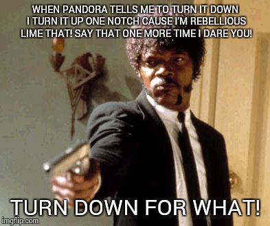 Say That Again I Dare You | WHEN PANDORA TELLS ME TO TURN IT DOWN I TURN IT UP ONE NOTCH CAUSE I'M REBELLIOUS LIME THAT! SAY THAT ONE MORE TIME I DARE YOU! TURN DOWN FO | image tagged in memes,say that again i dare you | made w/ Imgflip meme maker