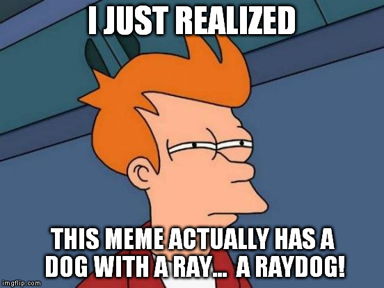Futurama Fry | I JUST REALIZED THIS MEME ACTUALLY HAS A DOG WITH A RAY...  A RAYDOG! | image tagged in memes,futurama fry | made w/ Imgflip meme maker
