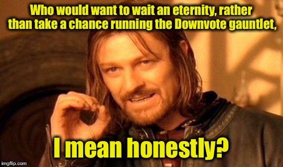 One Does Not Simply Meme | Who would want to wait an eternity, rather than take a chance running the Downvote gauntlet, I mean honestly? | image tagged in memes,one does not simply | made w/ Imgflip meme maker