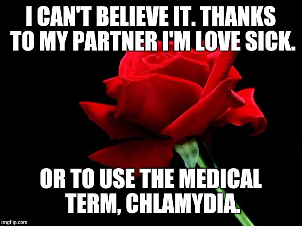 Love sick, but still a better love story than Twilight | I CAN'T BELIEVE IT. THANKS TO MY PARTNER I'M LOVE SICK. OR TO USE THE MEDICAL TERM, CHLAMYDIA. | image tagged in rose,chlamydia,love story,better than twilight | made w/ Imgflip meme maker
