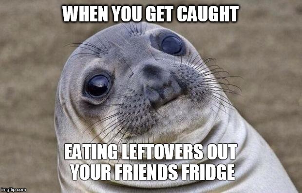 Awkward Moment Sealion | WHEN YOU GET CAUGHT EATING LEFTOVERS OUT YOUR FRIENDS FRIDGE | image tagged in memes,awkward moment sealion | made w/ Imgflip meme maker