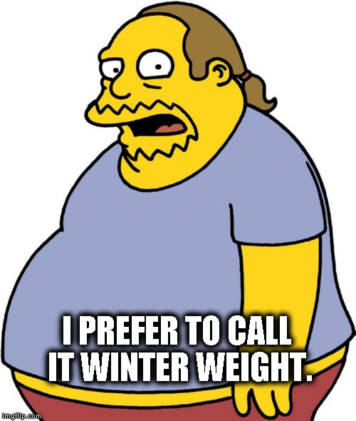 Comic Book Guy Meme | I PREFER TO CALL IT WINTER WEIGHT. | image tagged in memes,comic book guy | made w/ Imgflip meme maker