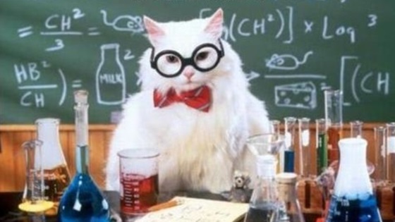 Science Cat (wider version) Blank Meme Template