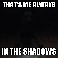 THAT'S ME ALWAYS IN THE SHADOWS | made w/ Imgflip meme maker