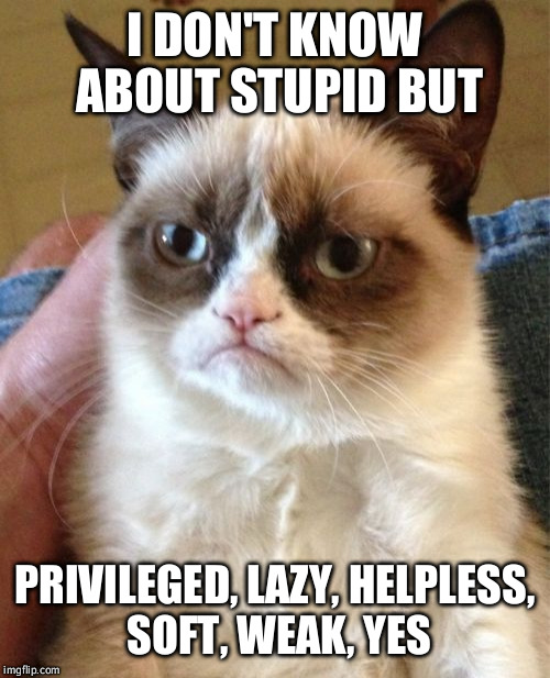 Grumpy Cat Meme | I DON'T KNOW ABOUT STUPID BUT PRIVILEGED, LAZY, HELPLESS, SOFT, WEAK, YES | image tagged in memes,grumpy cat | made w/ Imgflip meme maker