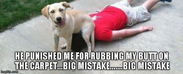 Every dog has his day. | HE PUNISHED ME FOR RUBBING MY BUTT ON THE CARPET...BIG MISTAKE.......BIG MISTAKE | image tagged in dog's revenge,dogs,funny,memes,funny animals,funny dogs | made w/ Imgflip meme maker