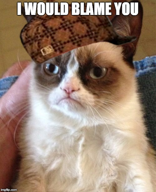 Grumpy Cat Meme | I WOULD BLAME YOU | image tagged in memes,grumpy cat,scumbag | made w/ Imgflip meme maker