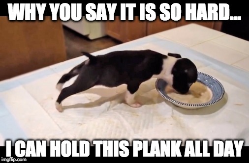 Doggie planks | WHY YOU SAY IT IS SO HARD... I CAN HOLD THIS PLANK ALL DAY | image tagged in exercise | made w/ Imgflip meme maker