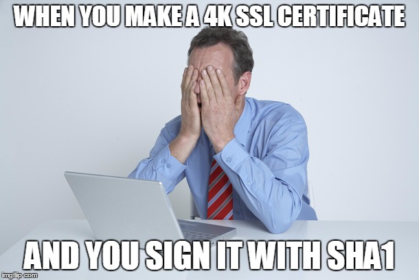 WHEN YOU MAKE A 4K SSL CERTIFICATE AND YOU SIGN IT WITH SHA1 | image tagged in iiiiiiitttttttttttt | made w/ Imgflip meme maker