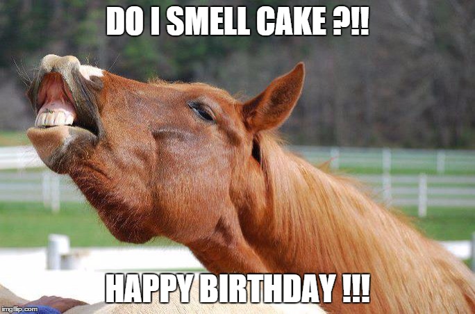 CC | DO I SMELL CAKE ?!! HAPPY BIRTHDAY !!! | image tagged in cc | made w/ Imgflip meme maker